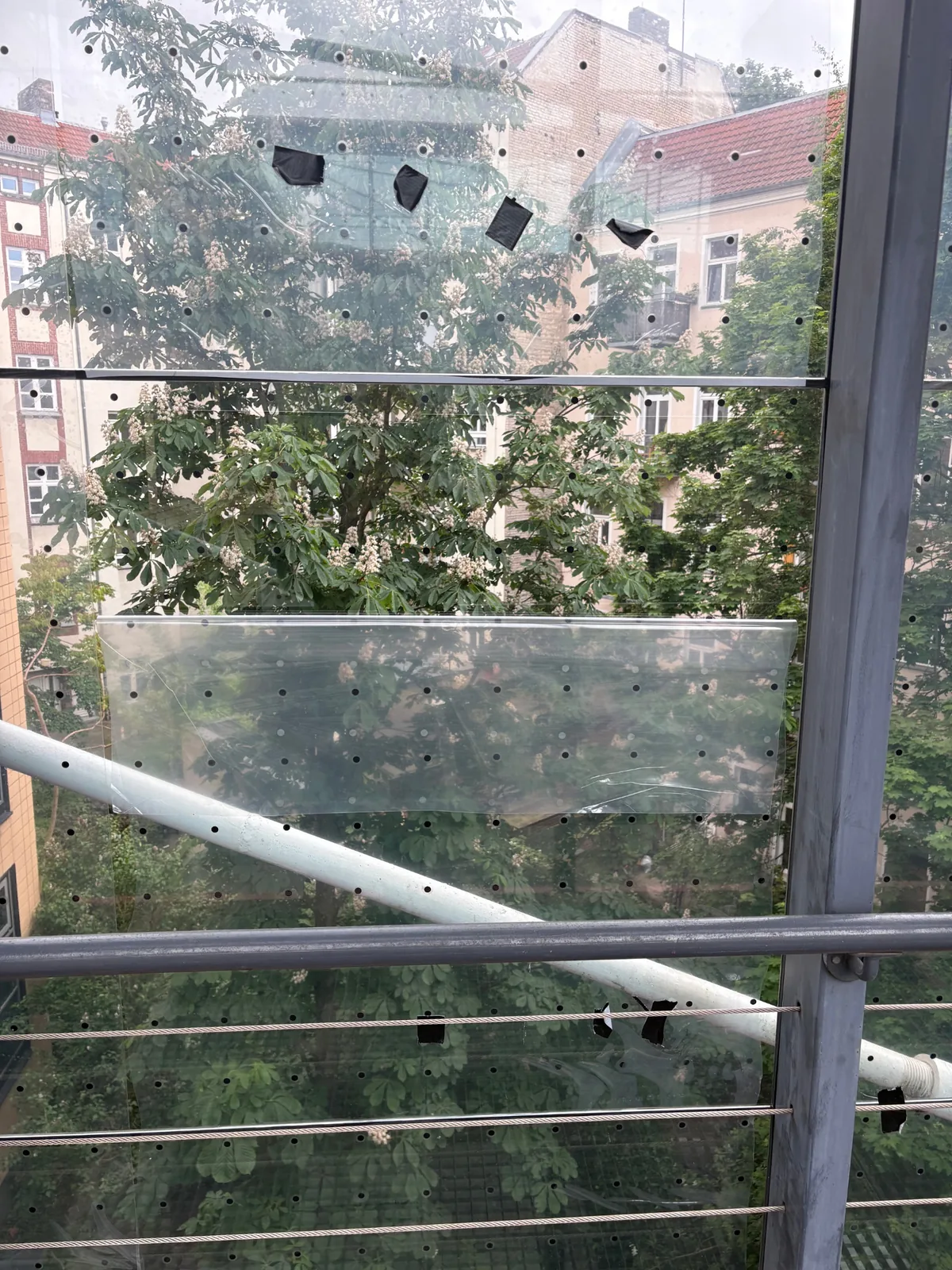 Detail einer Vogelschutzfolie mit Punktmarkierung